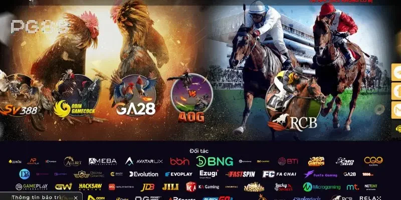 Giao diện tối ưu